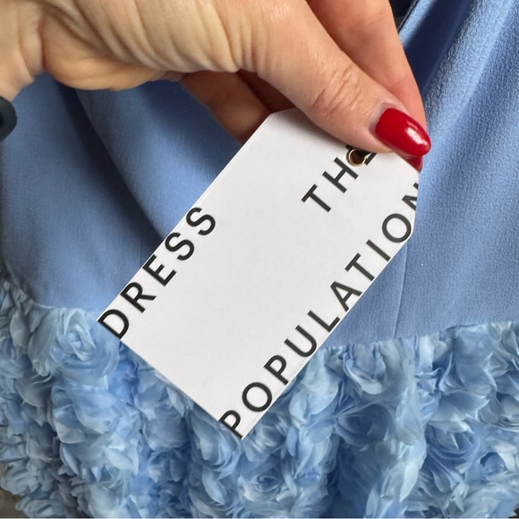 dress the population melanie Dress the Population Melanie Mini Dress